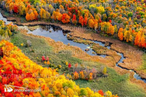 THE SILENCE OF WATER AND THE FIRE OF LEAVES